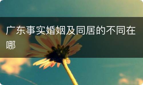 广东事实婚姻及同居的不同在哪