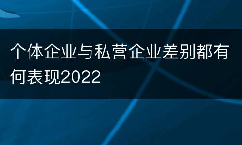 个体企业与私营企业差别都有何表现2022