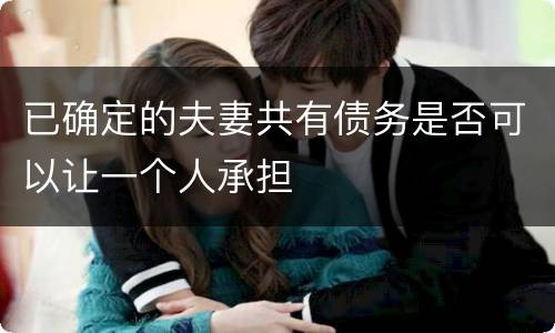 已确定的夫妻共有债务是否可以让一个人承担