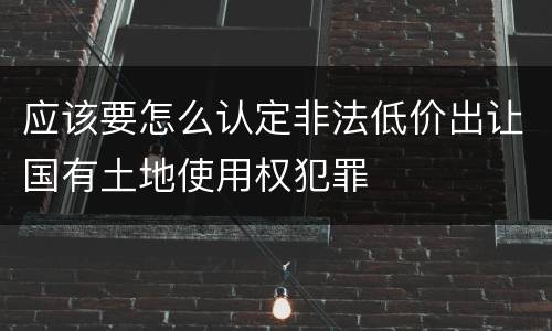应该要怎么认定非法低价出让国有土地使用权犯罪