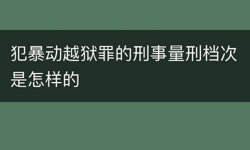 犯暴动越狱罪的刑事量刑档次是怎样的