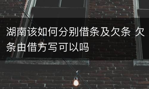 湖南该如何分别借条及欠条 欠条由借方写可以吗