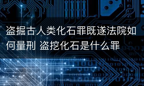 盗掘古人类化石罪既遂法院如何量刑 盗挖化石是什么罪