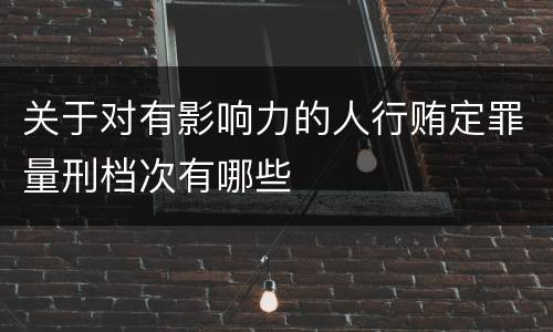 关于对有影响力的人行贿定罪量刑档次有哪些