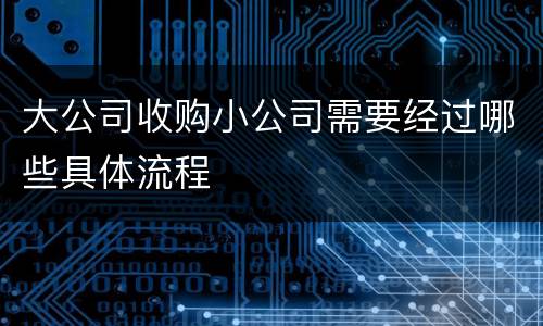 大公司收购小公司需要经过哪些具体流程