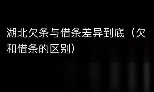 湖北欠条与借条差异到底（欠和借条的区别）