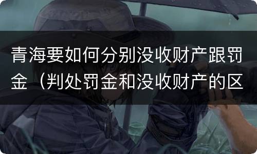 青海要如何分别没收财产跟罚金（判处罚金和没收财产的区别）