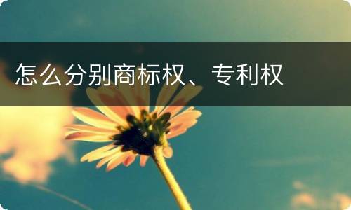 怎么分别商标权、专利权