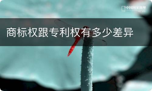 商标权跟专利权有多少差异