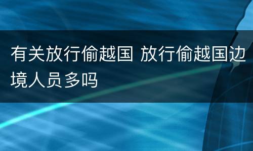 有关放行偷越国 放行偷越国边境人员多吗