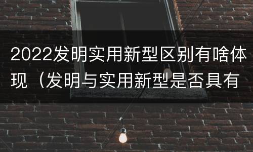 2022发明实用新型区别有啥体现（发明与实用新型是否具有实用性）