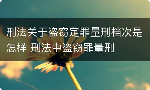 刑法关于盗窃定罪量刑档次是怎样 刑法中盗窃罪量刑