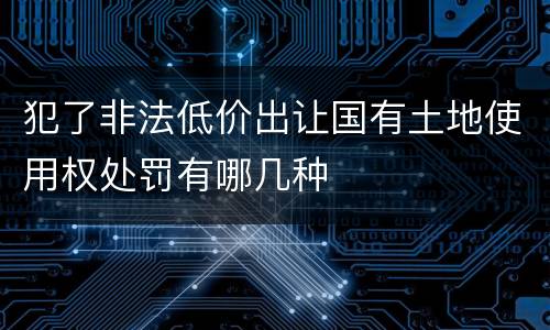 犯了非法低价出让国有土地使用权处罚有哪几种