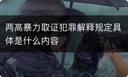 两高暴力取证犯罪解释规定具体是什么内容