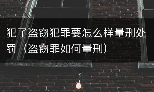 犯了盗窃犯罪要怎么样量刑处罚（盗窃罪如何量刑）