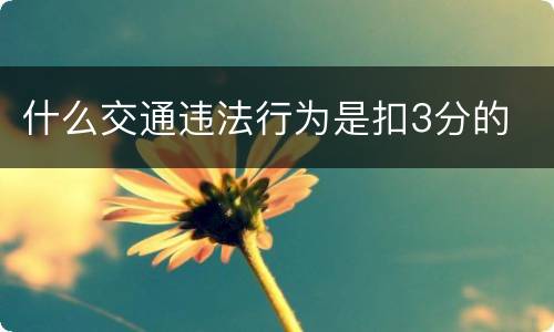 什么交通违法行为是扣3分的