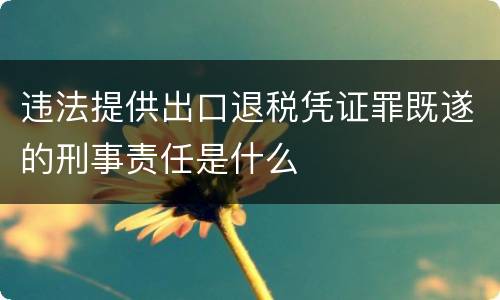 违法提供出口退税凭证罪既遂的刑事责任是什么