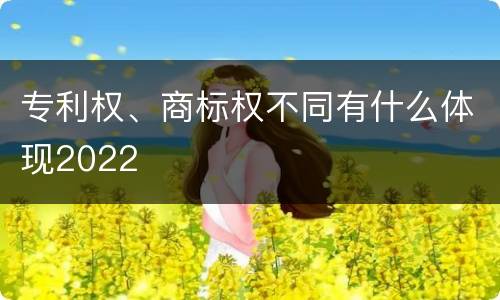 专利权、商标权不同有什么体现2022