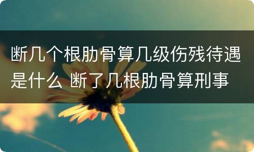 断几个根肋骨算几级伤残待遇是什么 断了几根肋骨算刑事