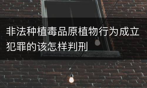 非法种植毒品原植物行为成立犯罪的该怎样判刑