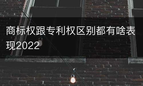 商标权跟专利权区别都有啥表现2022