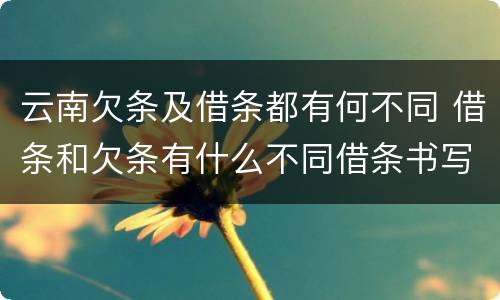 云南欠条及借条都有何不同 借条和欠条有什么不同借条书写
