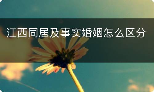 江西同居及事实婚姻怎么区分
