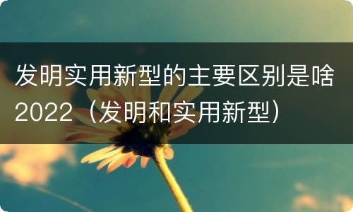 发明实用新型的主要区别是啥2022（发明和实用新型）