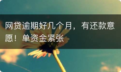 网贷逾期好几个月，有还款意愿！单资金紧张