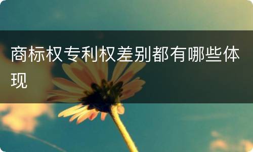 商标权专利权差别都有哪些体现