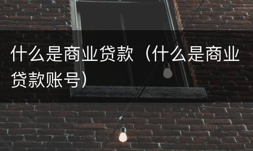 什么是商业贷款（什么是商业贷款账号）