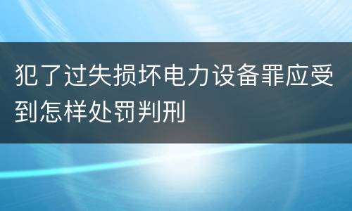 犯了过失损坏电力设备罪应受到怎样处罚判刑