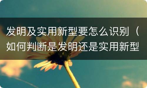 发明及实用新型要怎么识别（如何判断是发明还是实用新型）