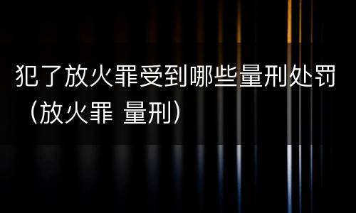 犯了放火罪受到哪些量刑处罚（放火罪 量刑）