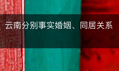 云南分别事实婚姻、同居关系