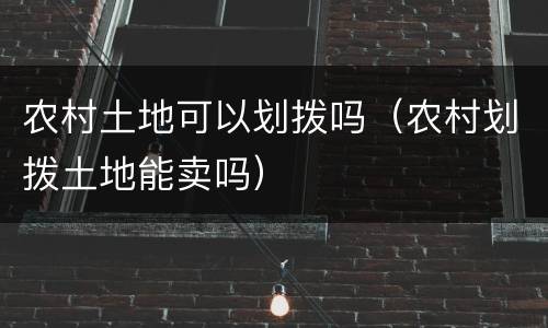 农村土地可以划拨吗（农村划拨土地能卖吗）
