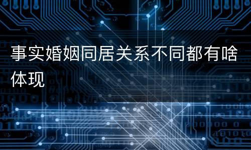 事实婚姻同居关系不同都有啥体现