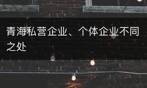 青海私营企业、个体企业不同之处