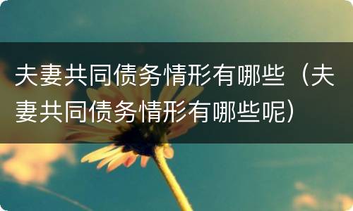 夫妻共同债务情形有哪些（夫妻共同债务情形有哪些呢）