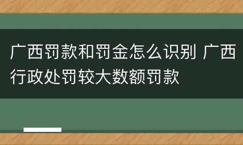 广西罚款和罚金怎么识别 广西行政处罚较大数额罚款