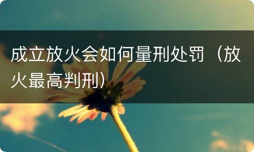 成立放火会如何量刑处罚（放火最高判刑）