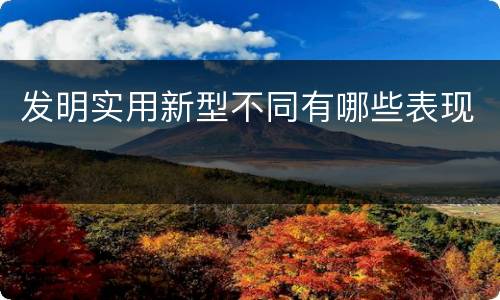 发明实用新型不同有哪些表现