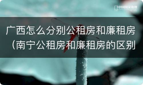 广西怎么分别公租房和廉租房（南宁公租房和廉租房的区别）