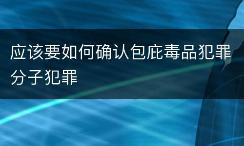 应该要如何确认包庇毒品犯罪分子犯罪