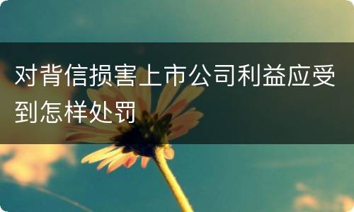 对背信损害上市公司利益应受到怎样处罚