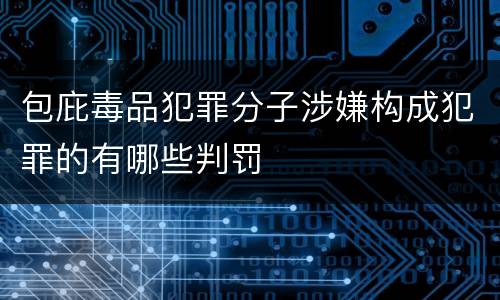 包庇毒品犯罪分子涉嫌构成犯罪的有哪些判罚