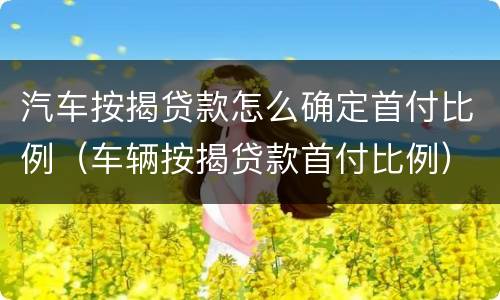 汽车按揭贷款怎么确定首付比例（车辆按揭贷款首付比例）