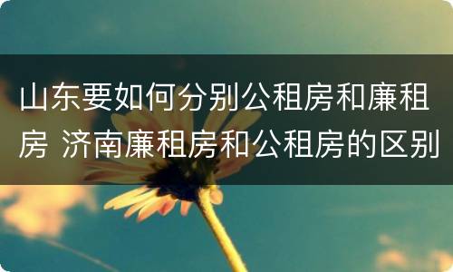 山东要如何分别公租房和廉租房 济南廉租房和公租房的区别