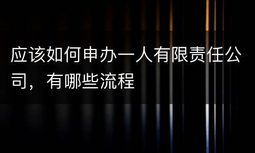 应该如何申办一人有限责任公司，有哪些流程