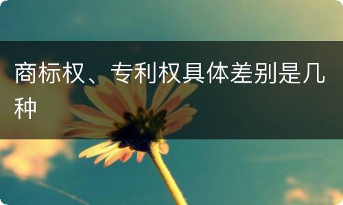 商标权、专利权具体差别是几种